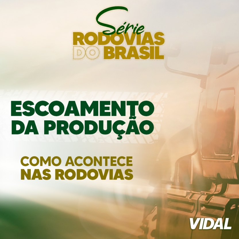 COMO ACONTECE O ESCOAMENTO DA PRODUÇÃO PELAS RODOVIAS?