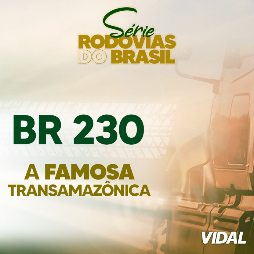 BR 230 - A TRANSAMAZNICA