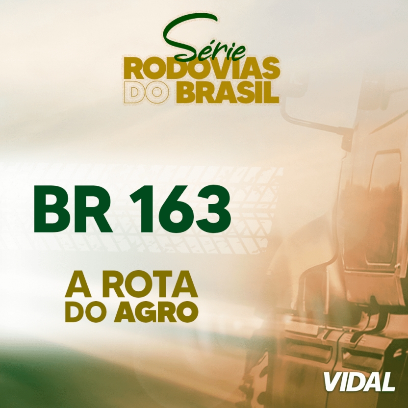 BR 163 - A ROTA DO AGRO