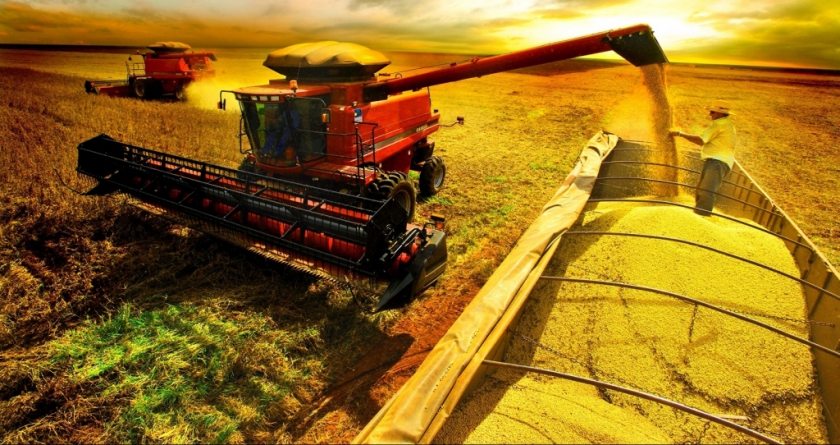 O AGRONEG�CIO E SEU MAR DE POSSIBILIDADES