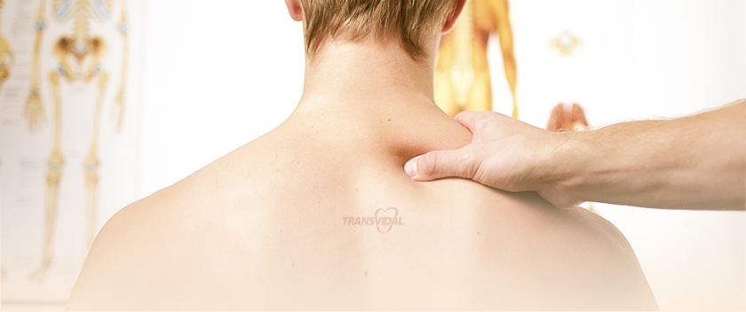 ALONGAMENTOS E EXERC�CIOS PARA A COLUNA DOS CAMINHONEIROS