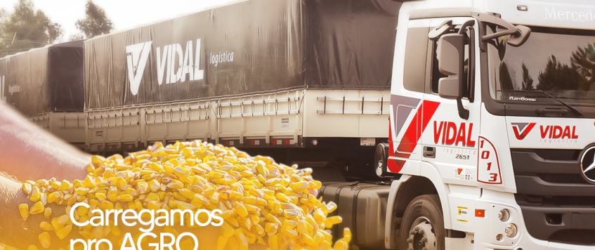 TRANSPORTE MILHO COM QUEM VOCÊ PODE CONFIAR!