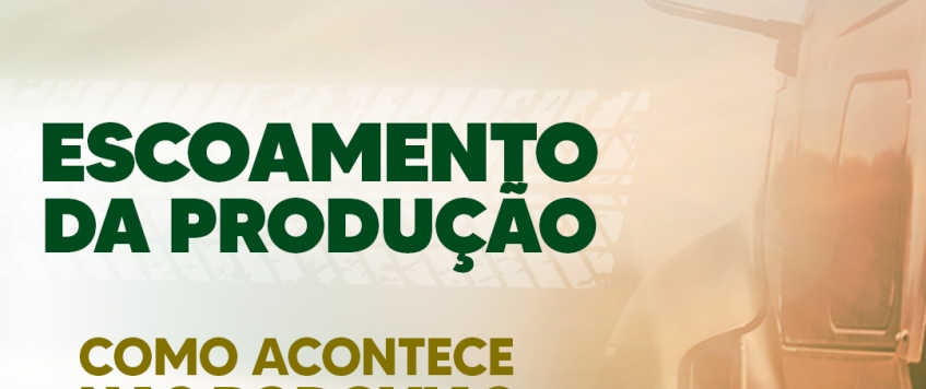 COMO ACONTECE O ESCOAMENTO DA PRODUÇÃO PELAS RODOVIAS?
