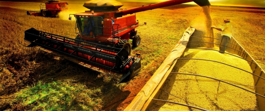 O AGRONEGÓCIO E SEU MAR DE POSSIBILIDADES